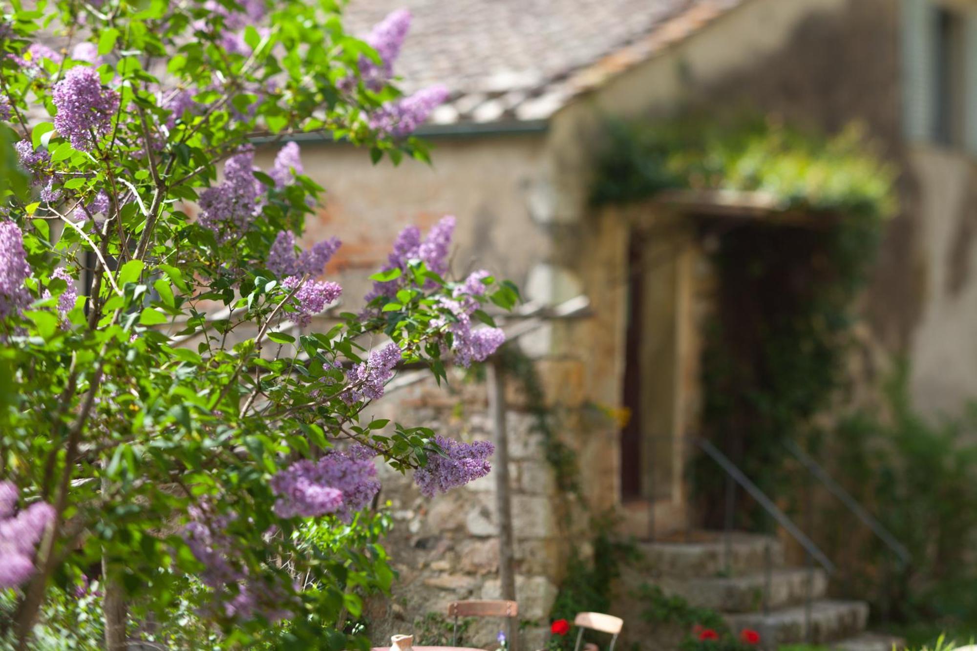 Tenuta Di Spannocchia Rosia Exterior foto